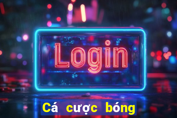 Cá cược bóng đá Việt Nam