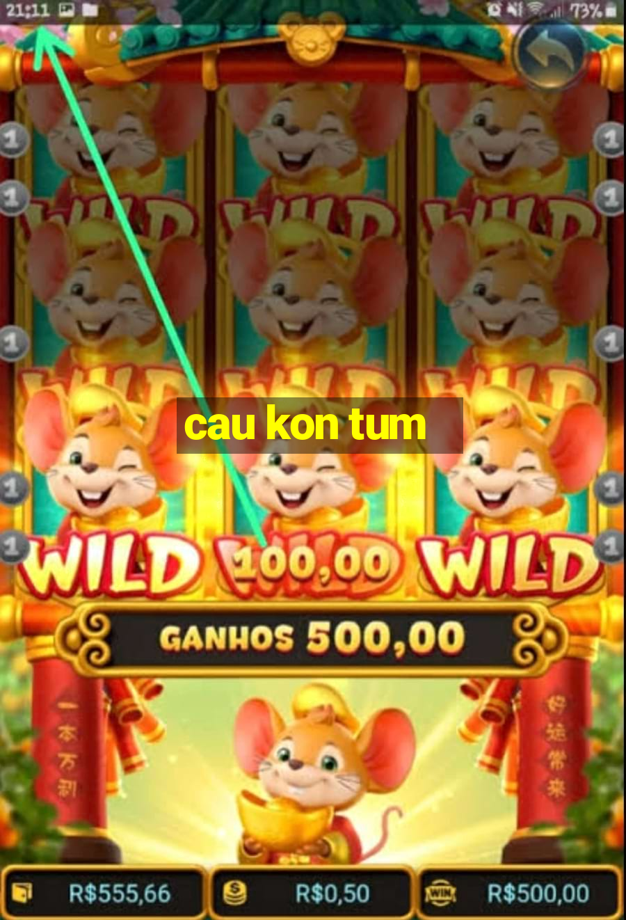 cau kon tum