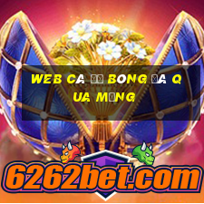 web cá độ bóng đá qua mạng