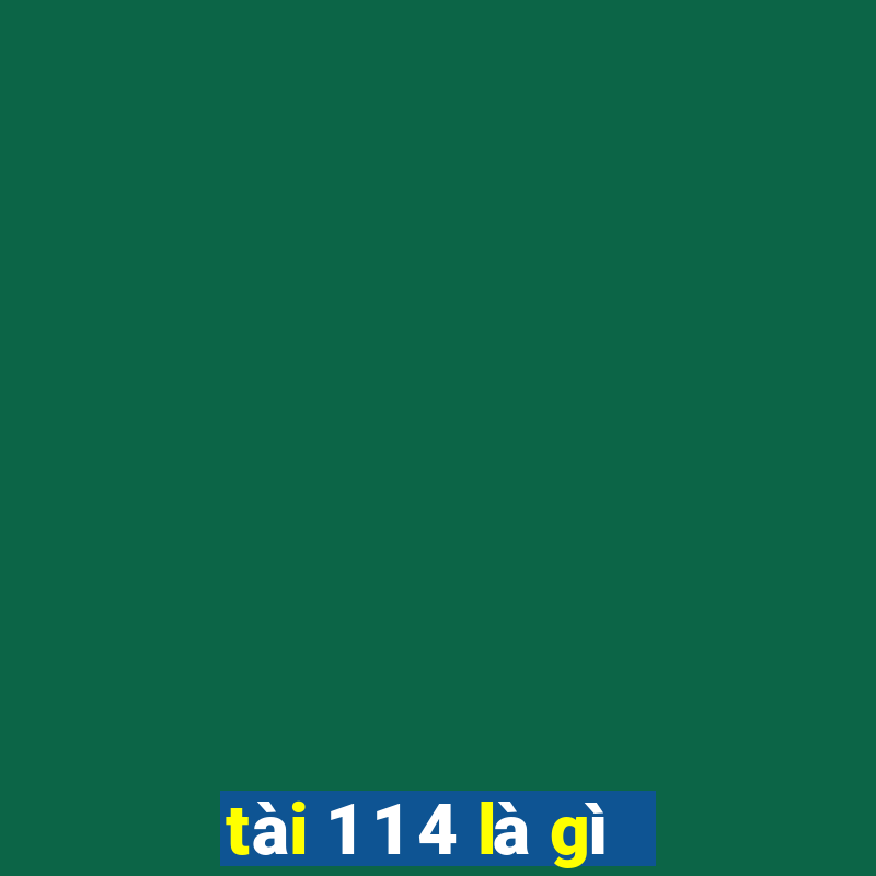 tài 1 1 4 là gì