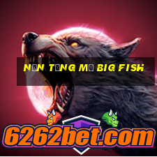 Nền tảng mở Big Fish