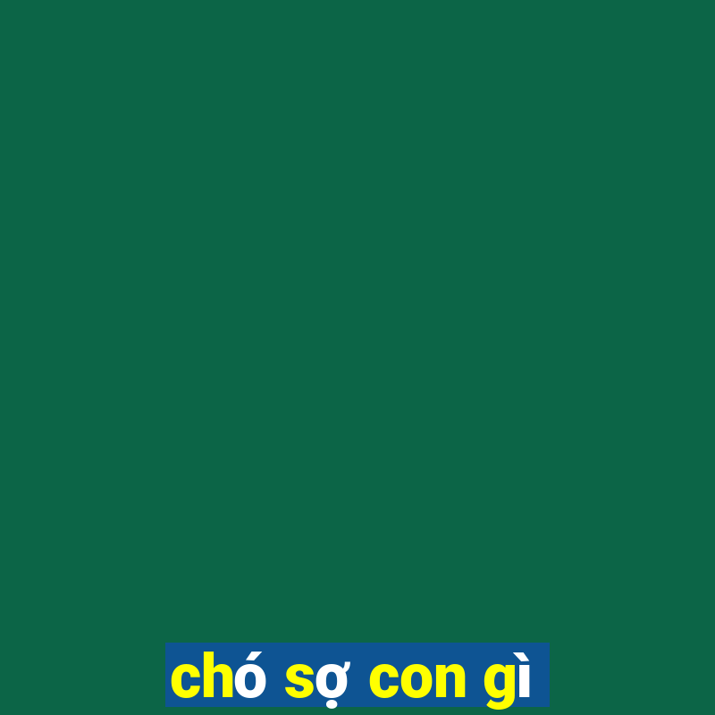 chó sợ con gì