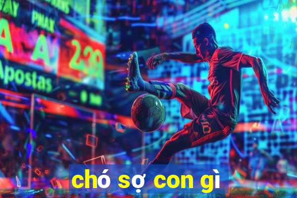 chó sợ con gì