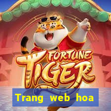 Trang web hoa vàng Baijiazha