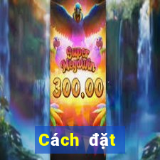 Cách đặt cược XSKT ngày 29