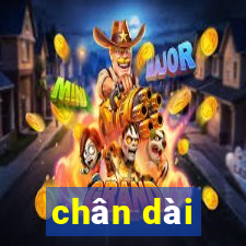 chân dài