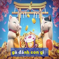 gà đánh con gì