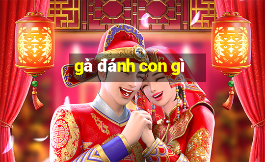 gà đánh con gì