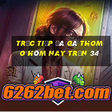 trực tiếp đá gà thomo hôm nay trận 34