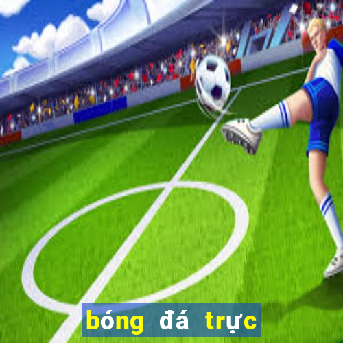 bóng đá trực tiếp c1 hôm nay