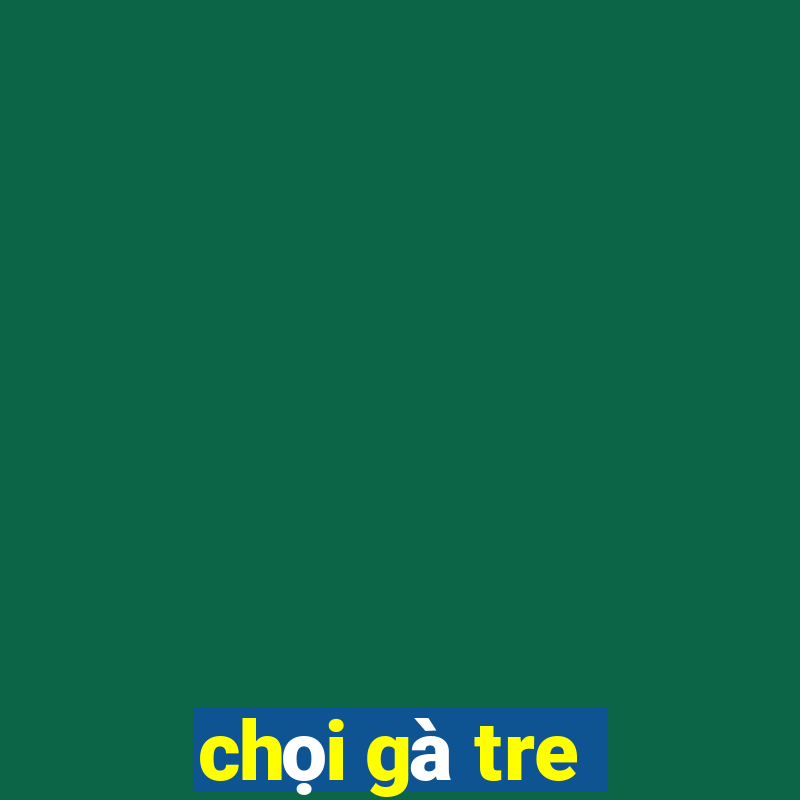 chọi gà tre