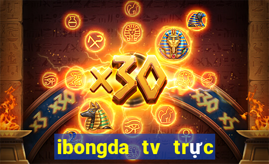 ibongda tv trực tiếp bóng đá