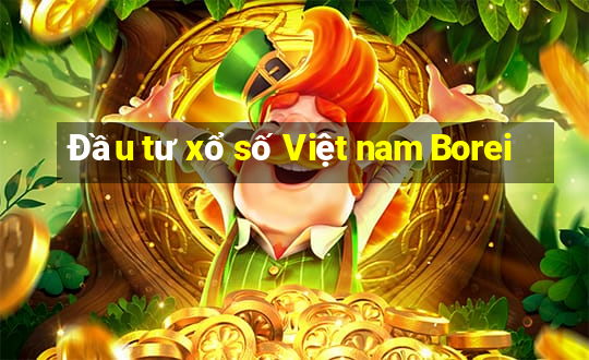 Đầu tư xổ số Việt nam Borei