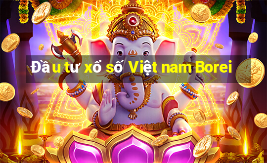 Đầu tư xổ số Việt nam Borei