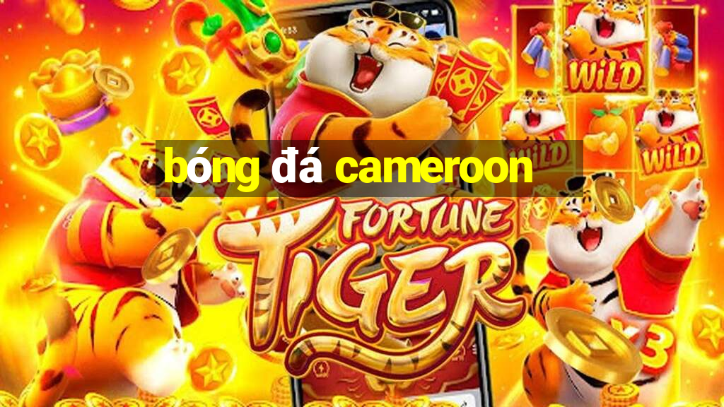 bóng đá cameroon