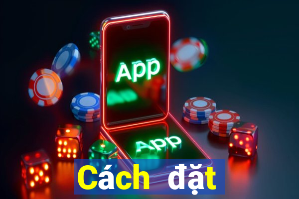 Cách đặt cược XSMT ngày 11