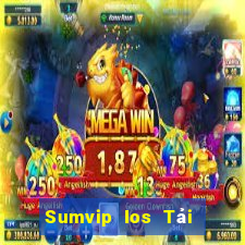 Sumvip Ios Tải Game Bài Đổi Thưởng