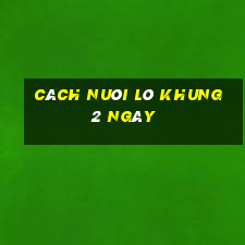 cách nuôi lô khung 2 ngày