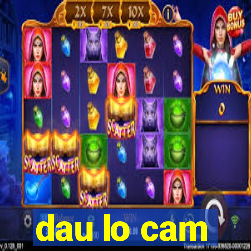 dau lo cam