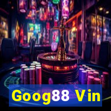 Goog88 Vin