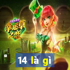 14 là gì