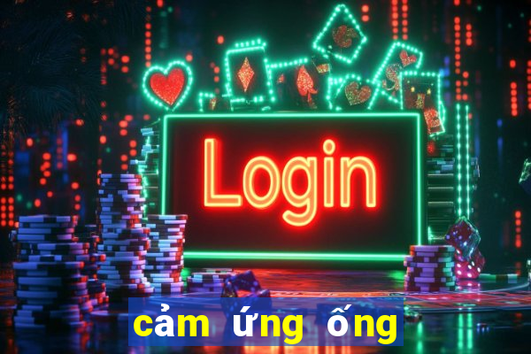 cảm ứng ống xóc đĩa bịp