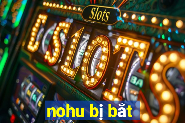 nohu bị bắt