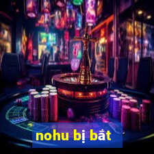 nohu bị bắt