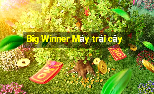 Big Winner Máy trái cây