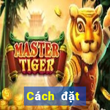 Cách đặt cược XSTB ngày 23