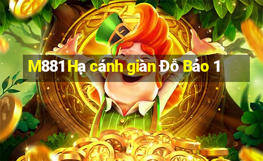 M881 Hạ cánh giàn Đỗ Bảo 1