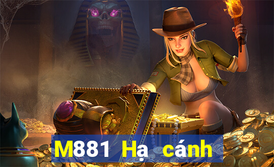 M881 Hạ cánh giàn Đỗ Bảo 1