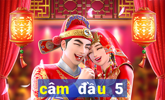 câm đầu 5 đánh con gì