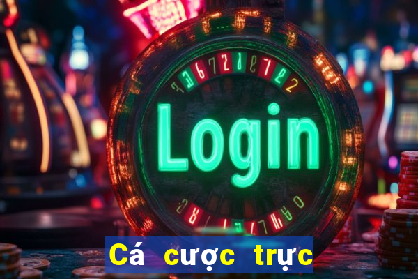 Cá cược trực tuyến oxbet