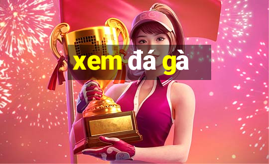 xem đá gà