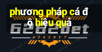 phương pháp cá độ hiệu quả