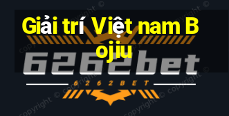 Giải trí Việt nam Bojiu