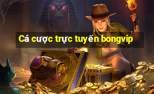 Cá cược trực tuyến bongvip