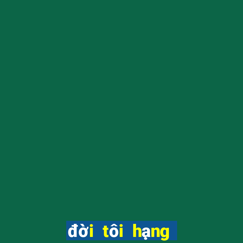 đời tôi hạng bét vietsub