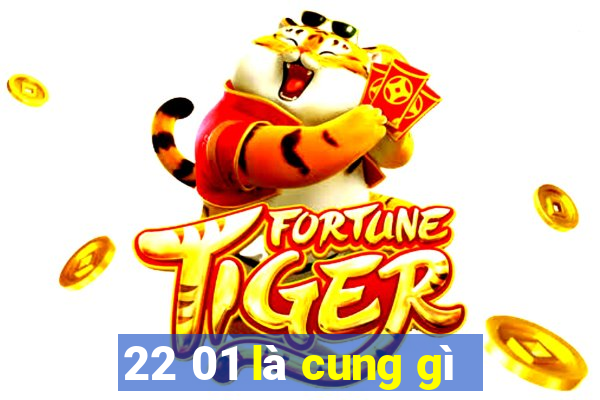 22 01 là cung gì