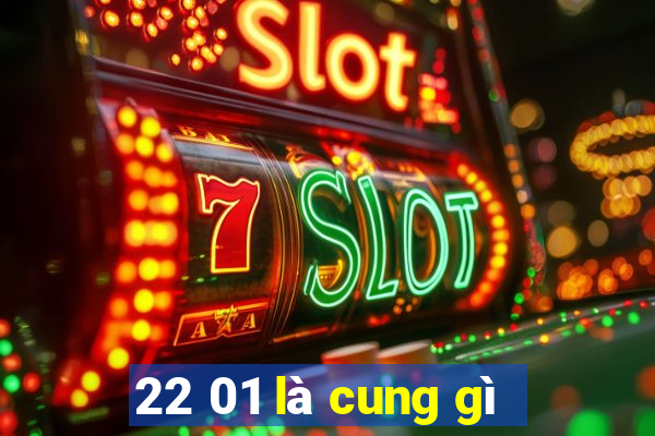 22 01 là cung gì