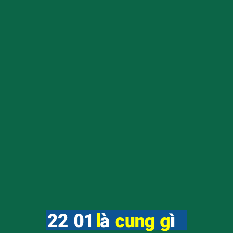 22 01 là cung gì