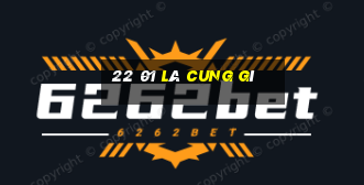 22 01 là cung gì