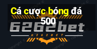 Cá cược bóng đá 500