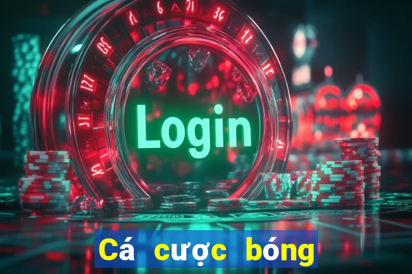 Cá cược bóng đá 500