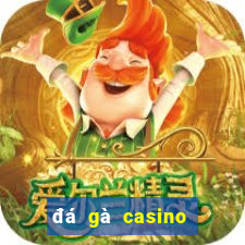 đá gà casino trực tiếp