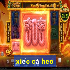 xiec ca heo