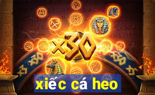 xiec ca heo