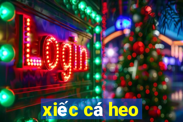 xiec ca heo