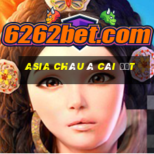 asia châu á cài đặt